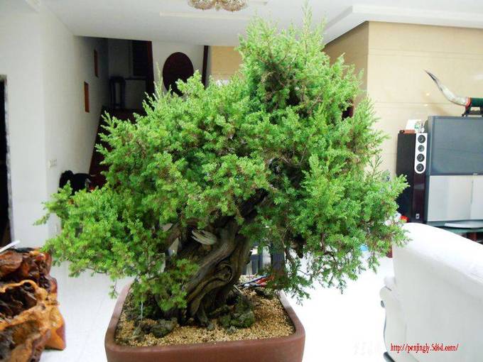 DSCN0276.JPG