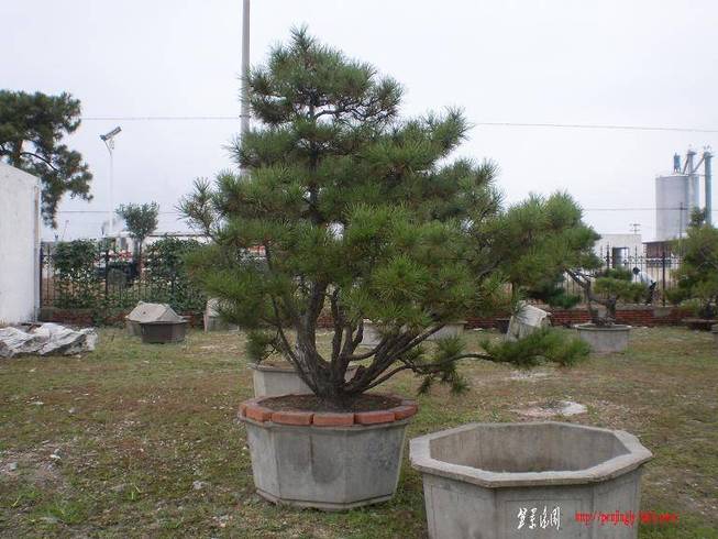 SANY0035.JPG