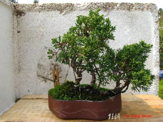 Ƭ 029.jpg