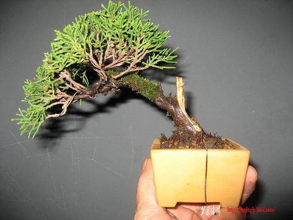 Ƭ 009.jpg
