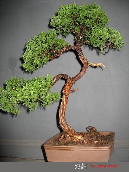 Ƭ 011.jpg