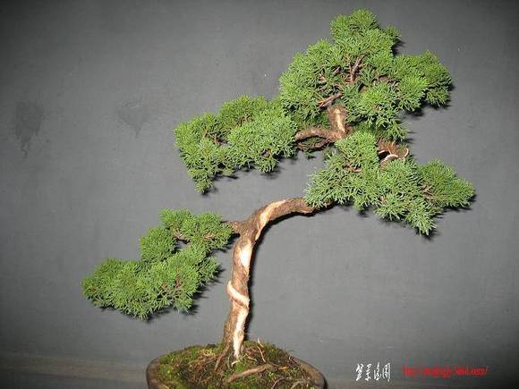 Ƭ 017.jpg