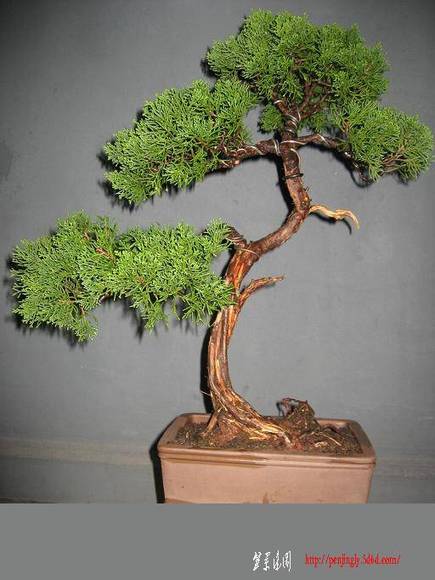 Ƭ 010.jpg