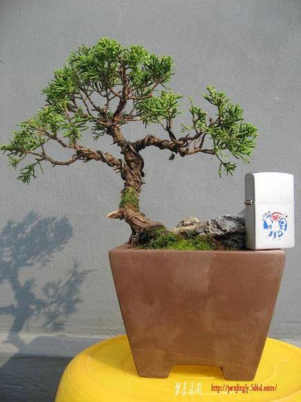 Ƭ 019.jpg