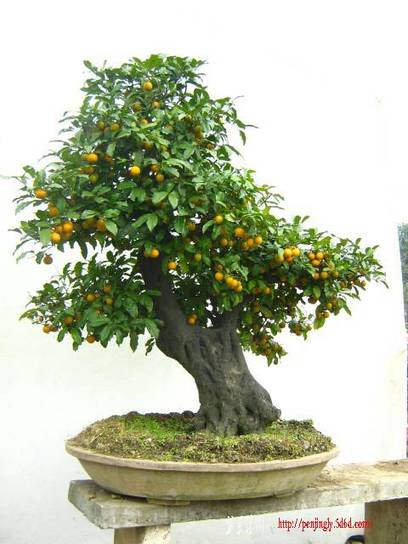 20101031Ƭ 097.jpg