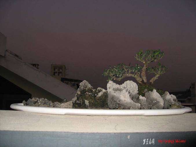 Ƭ 029.jpg