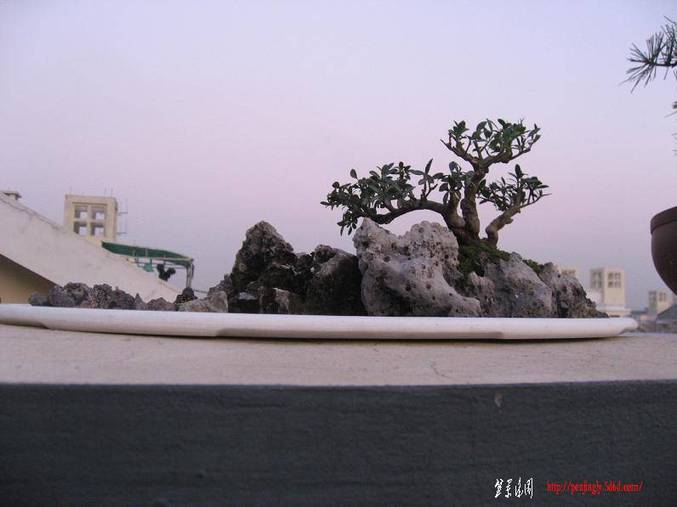 Ƭ 031.jpg