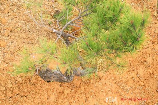 ��Ƭk��c 049.jpg