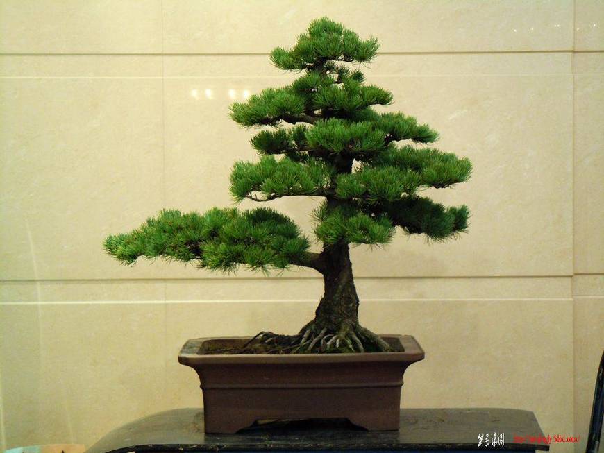 DSCN0315.JPG