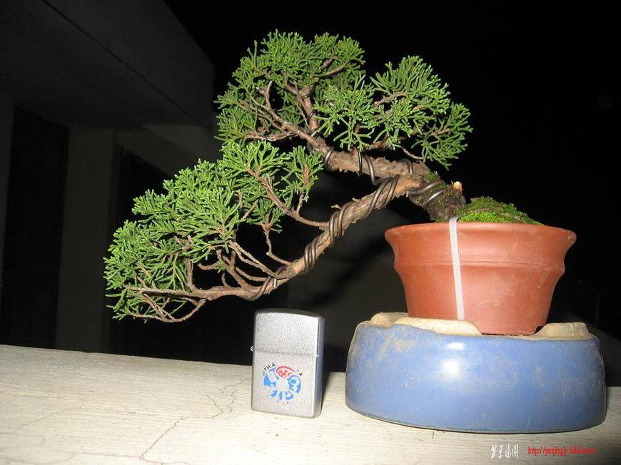 Ƭ 036.jpg