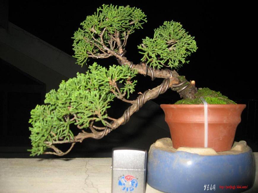 Ƭ 035.jpg