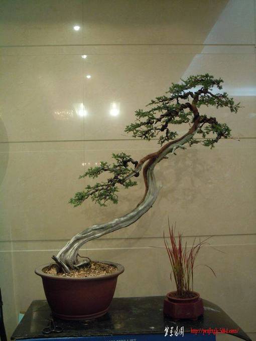 DSCN0469.JPG