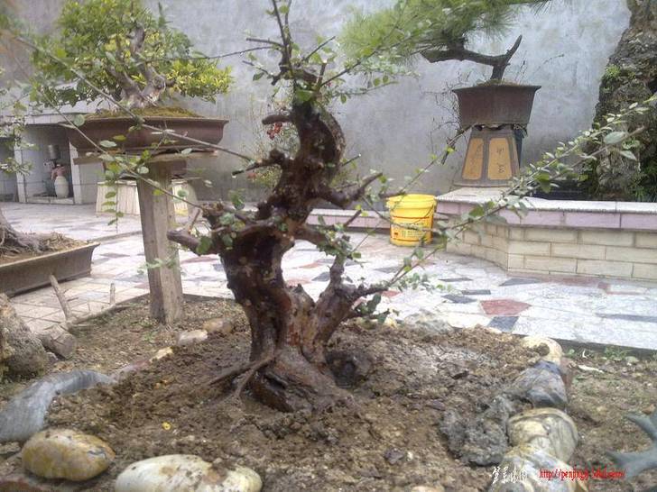 20101111134.jpg