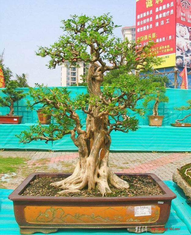 xsBbYVN6w.jpg