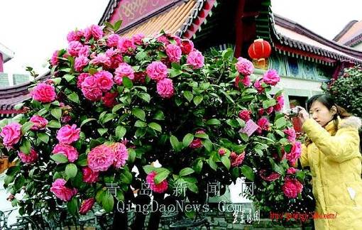 ln0318d0I[1].jpg
