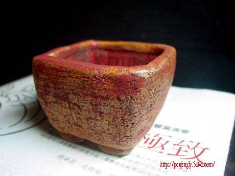 ap_F23_20091126075814478.jpg