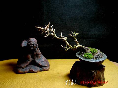 ap_F23_20091216015851459.jpg