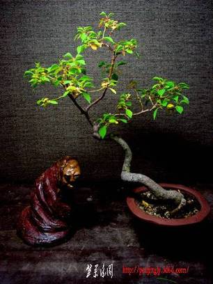 F23_20101103075749964.jpg