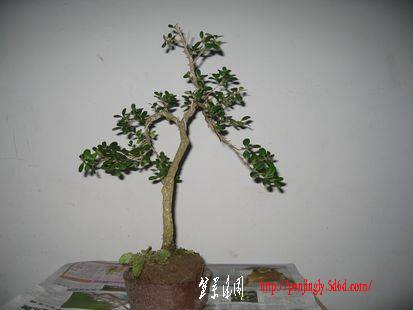 Ƭ 180.jpg