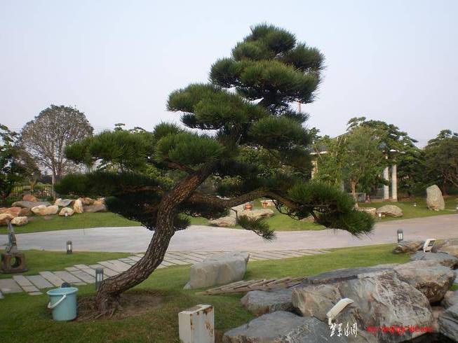SANY0354.JPG