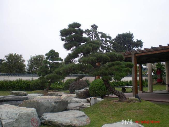 SANY0291.JPG