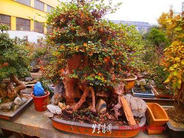 P1010239.JPG