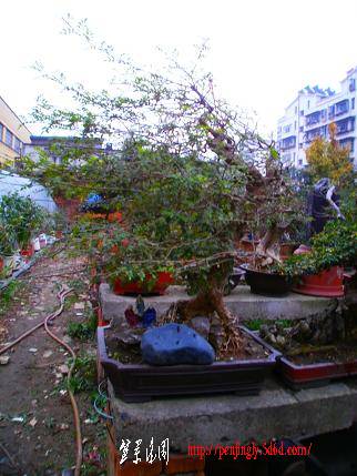 P1010244.JPG