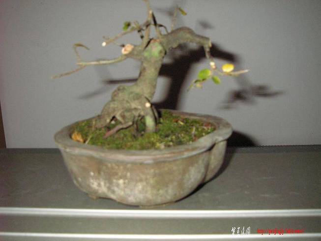 PB220070.JPG