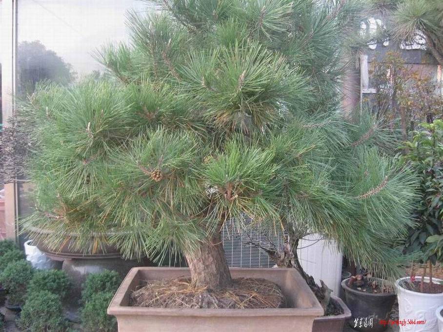 �����͵Ȼ� 039.jpg