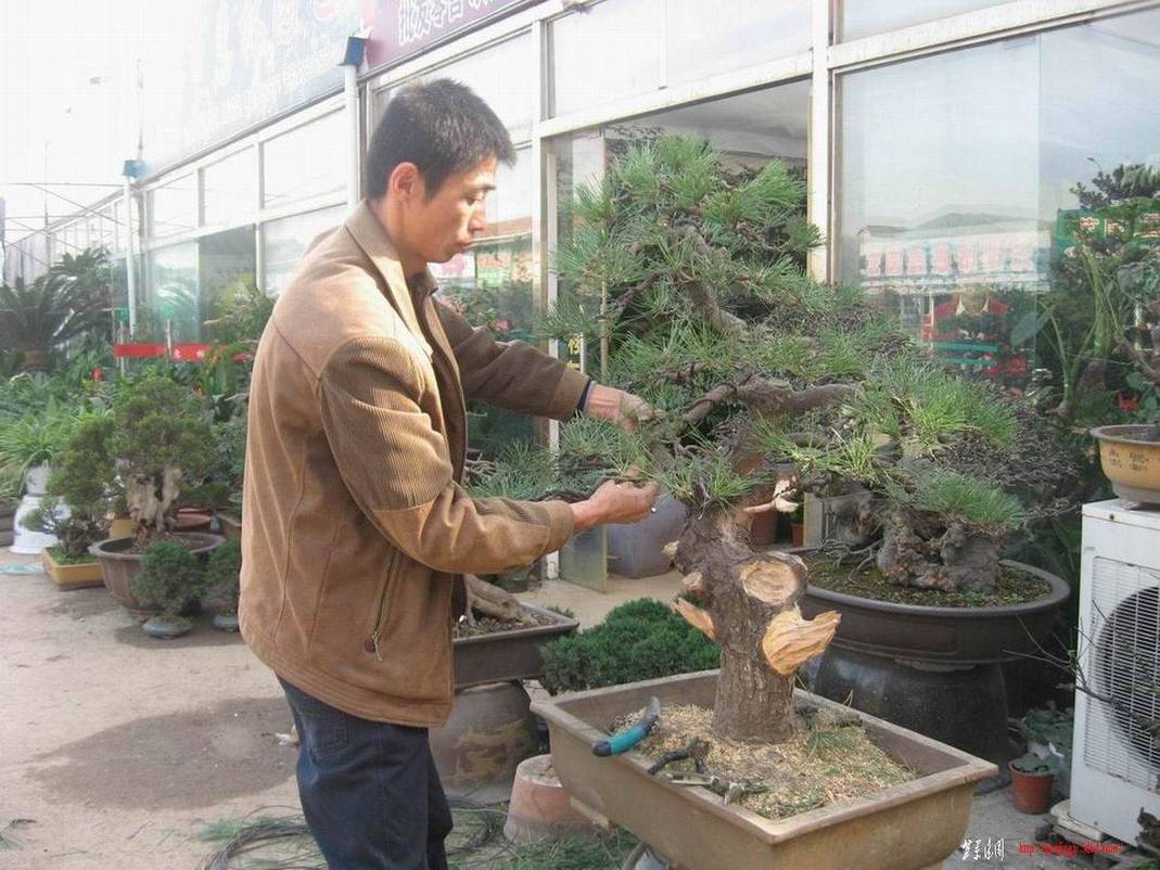 �����͵Ȼ� 047.jpg