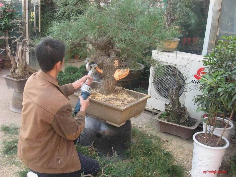 �����͵Ȼ� 043.jpg