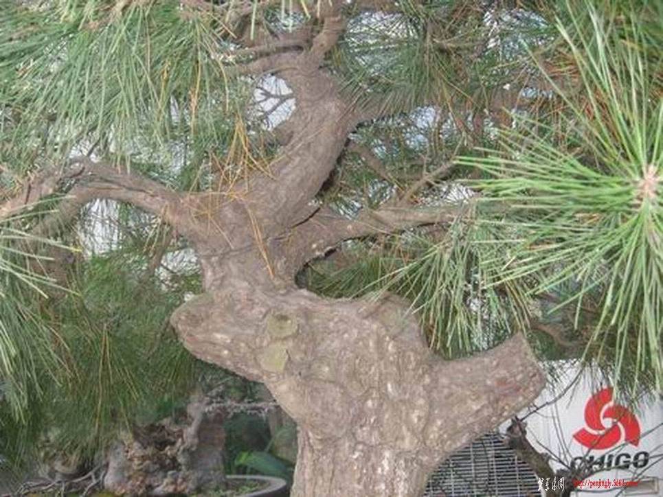 �����͵Ȼ� 038.jpg