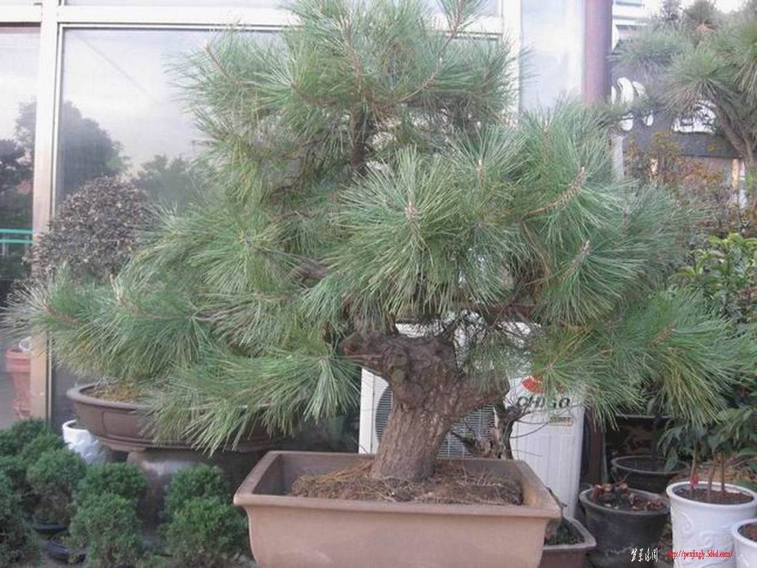 �����͵Ȼ� 037.jpg