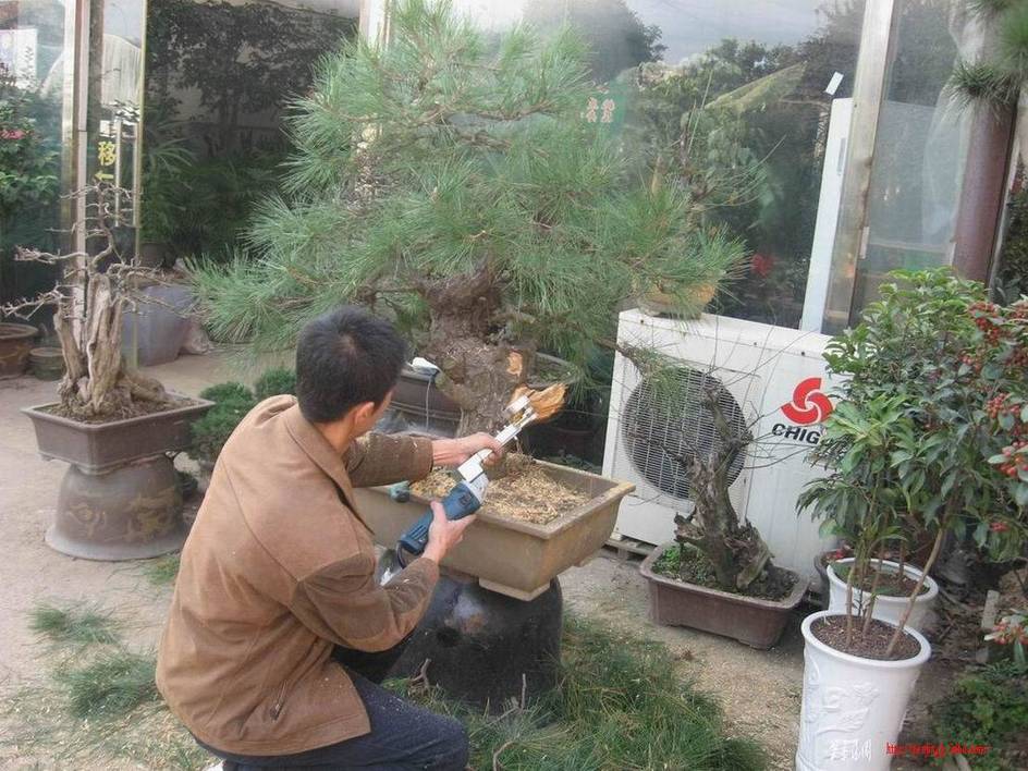 �����͵Ȼ� 041.jpg