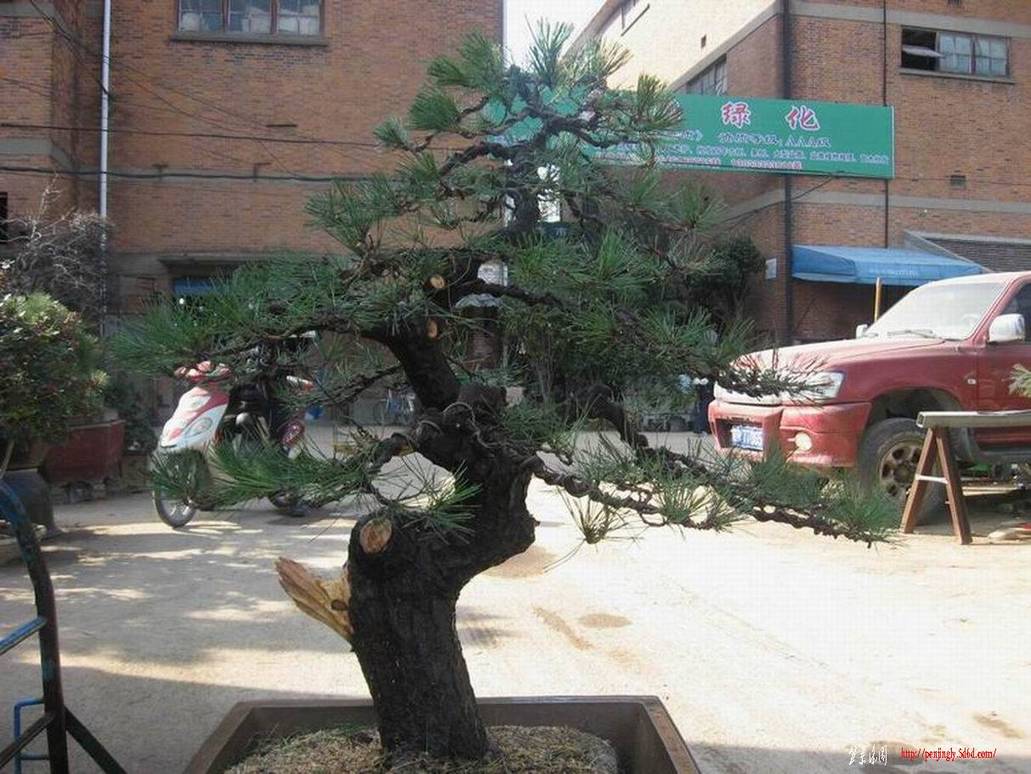 �����͵Ȼ� 050.jpg