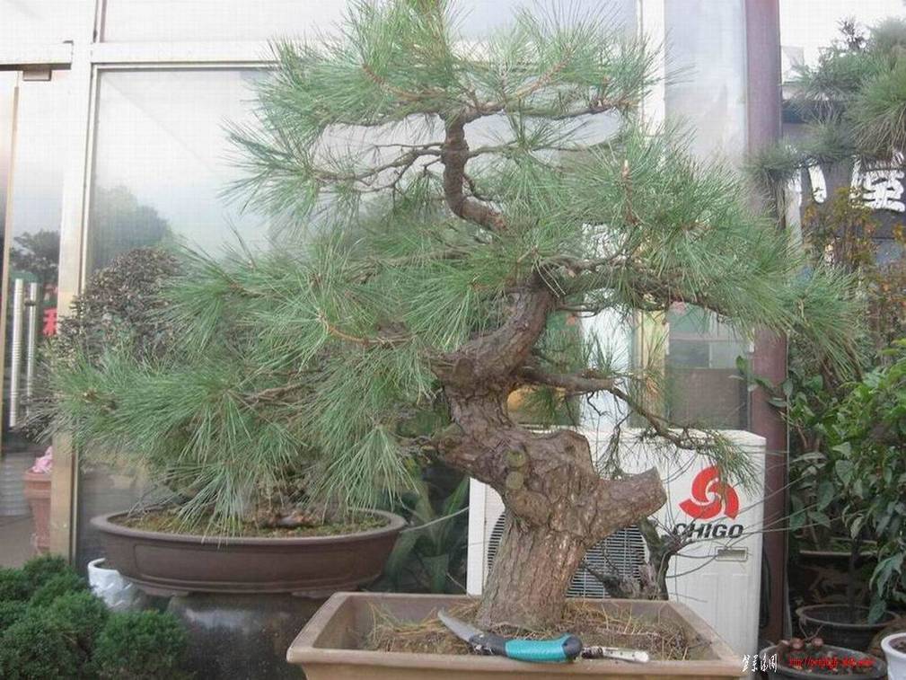 �����͵Ȼ� 040.jpg