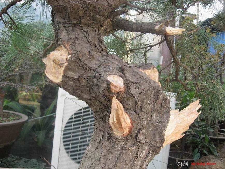 �����͵Ȼ� 045.jpg