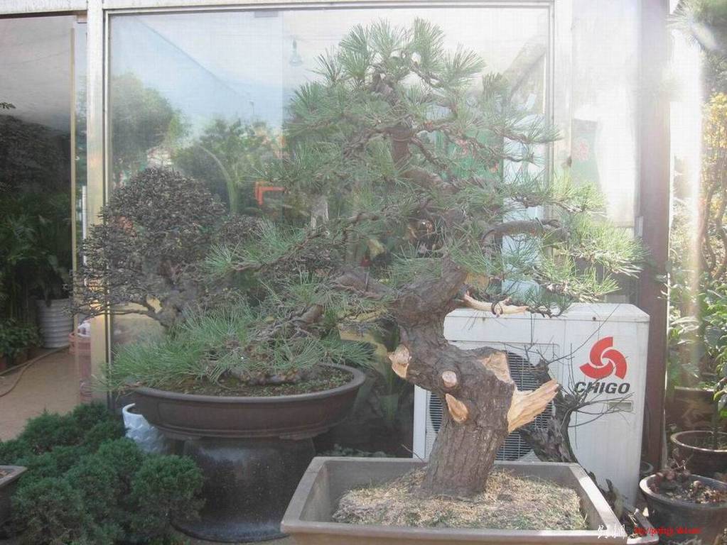 �����͵Ȼ� 048.jpg