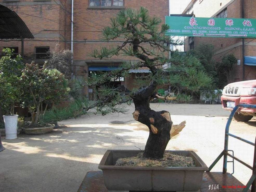 �����͵Ȼ� 049.jpg