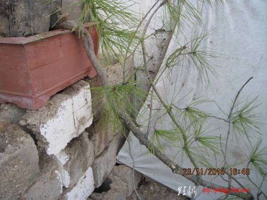 2010.11.23�⼸����ɽ�� 004.jpg