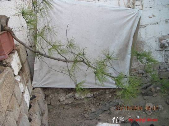 2010.11.23�⼸����ɽ�� 002.jpg