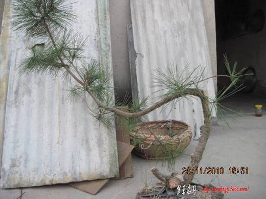 2010.11.23�⼸����ɽ�� 010.jpg