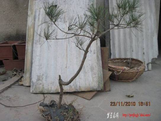 2010.11.23�⼸����ɽ�� 009.jpg