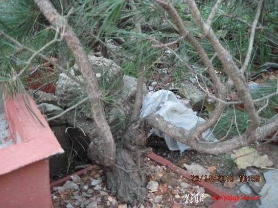 2010.11.23�⼸����ɽ�� 023.jpg