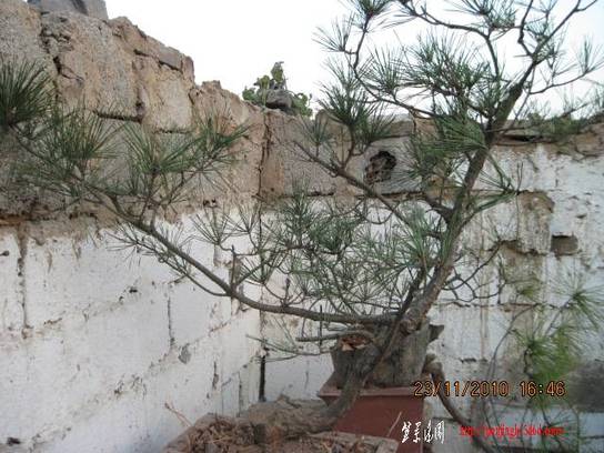 2010.11.23�⼸����ɽ�� 001.jpg