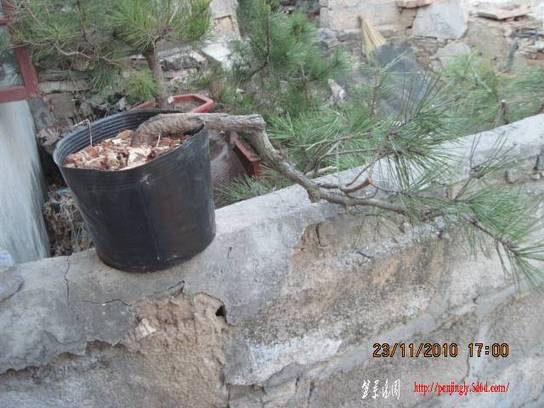 2010.11.23�⼸����ɽ�� 025.jpg