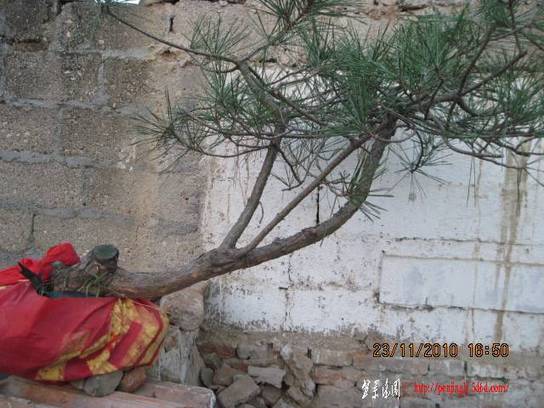 2010.11.23�⼸����ɽ�� 006.jpg