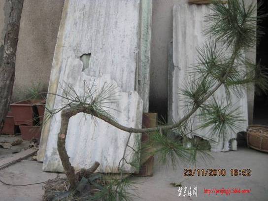 2010.11.23�⼸����ɽ�� 011.jpg