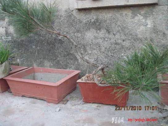 2010.11.23�⼸����ɽ�� 028.jpg