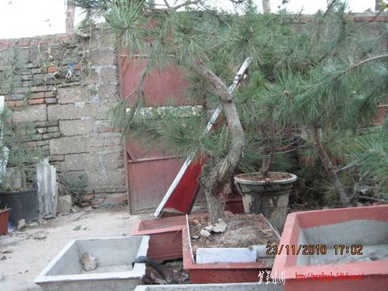 2010.11.23�⼸����ɽ�� 029.jpg